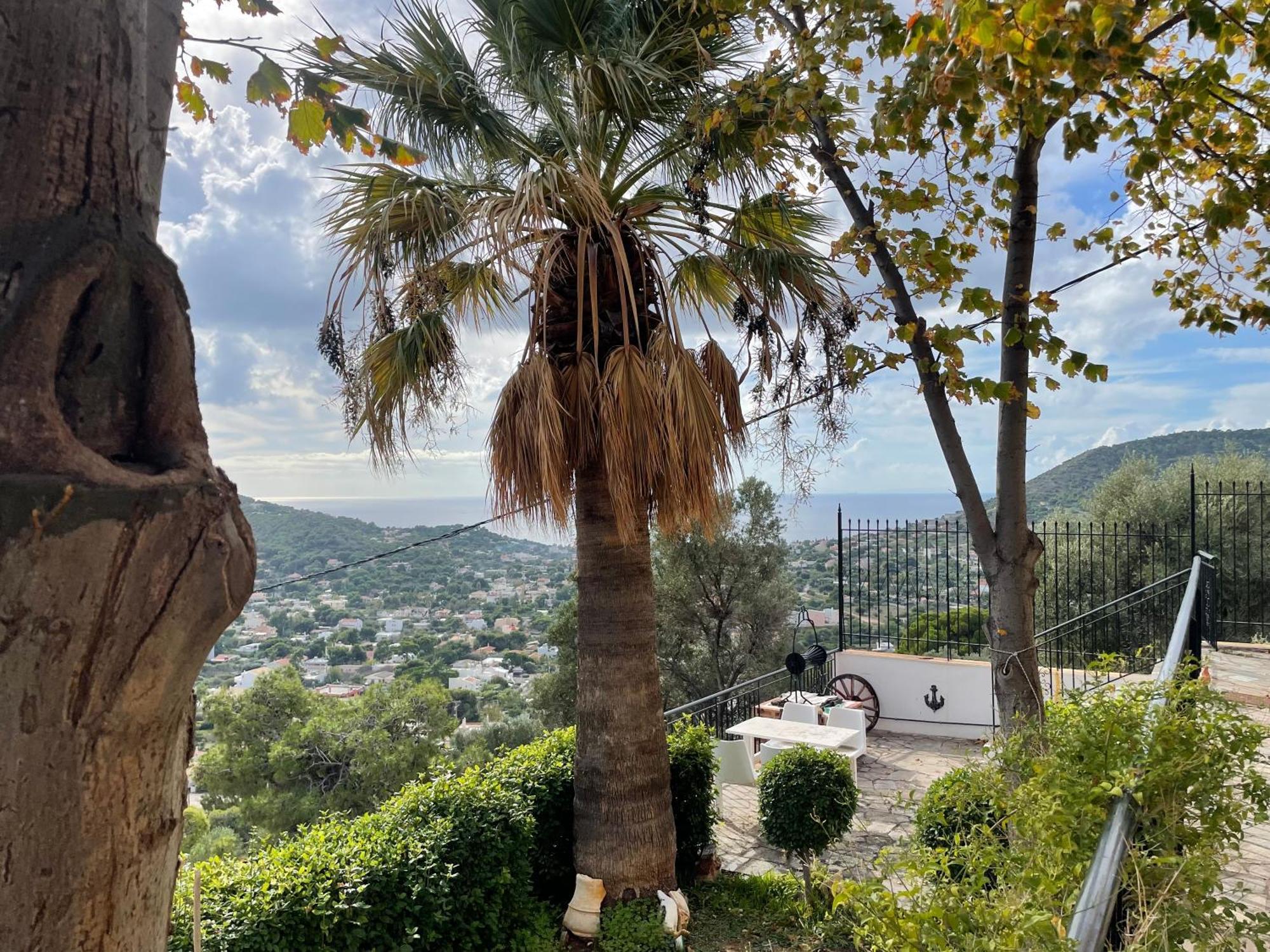 Eagles Nest Villa Athenian Riviera In Aghia Marina Near Lagonisi, Next To The Beach Close To Athens Airport Agia Marina  외부 사진